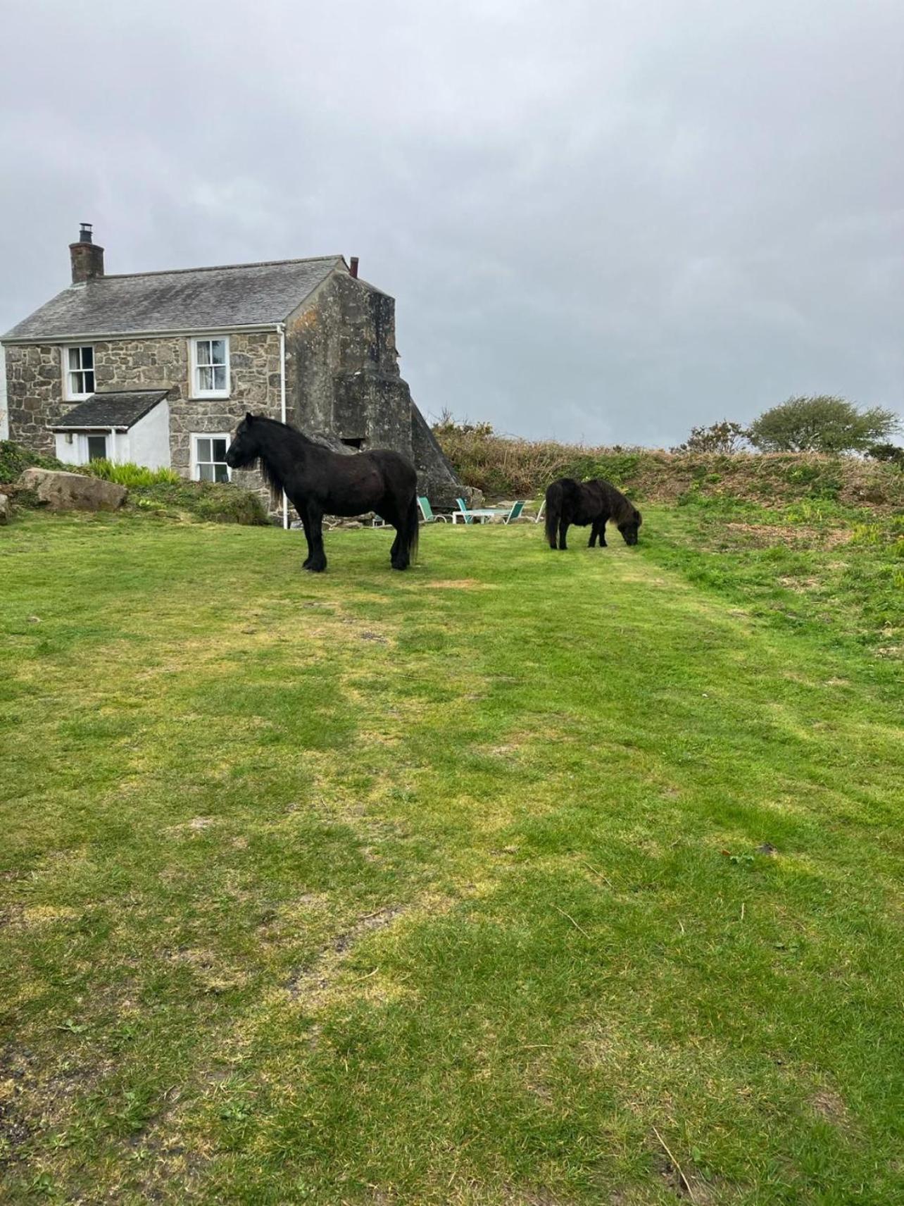 Kitts Cottage, Redruth, Cosy Cornish Retreat Buitenkant foto