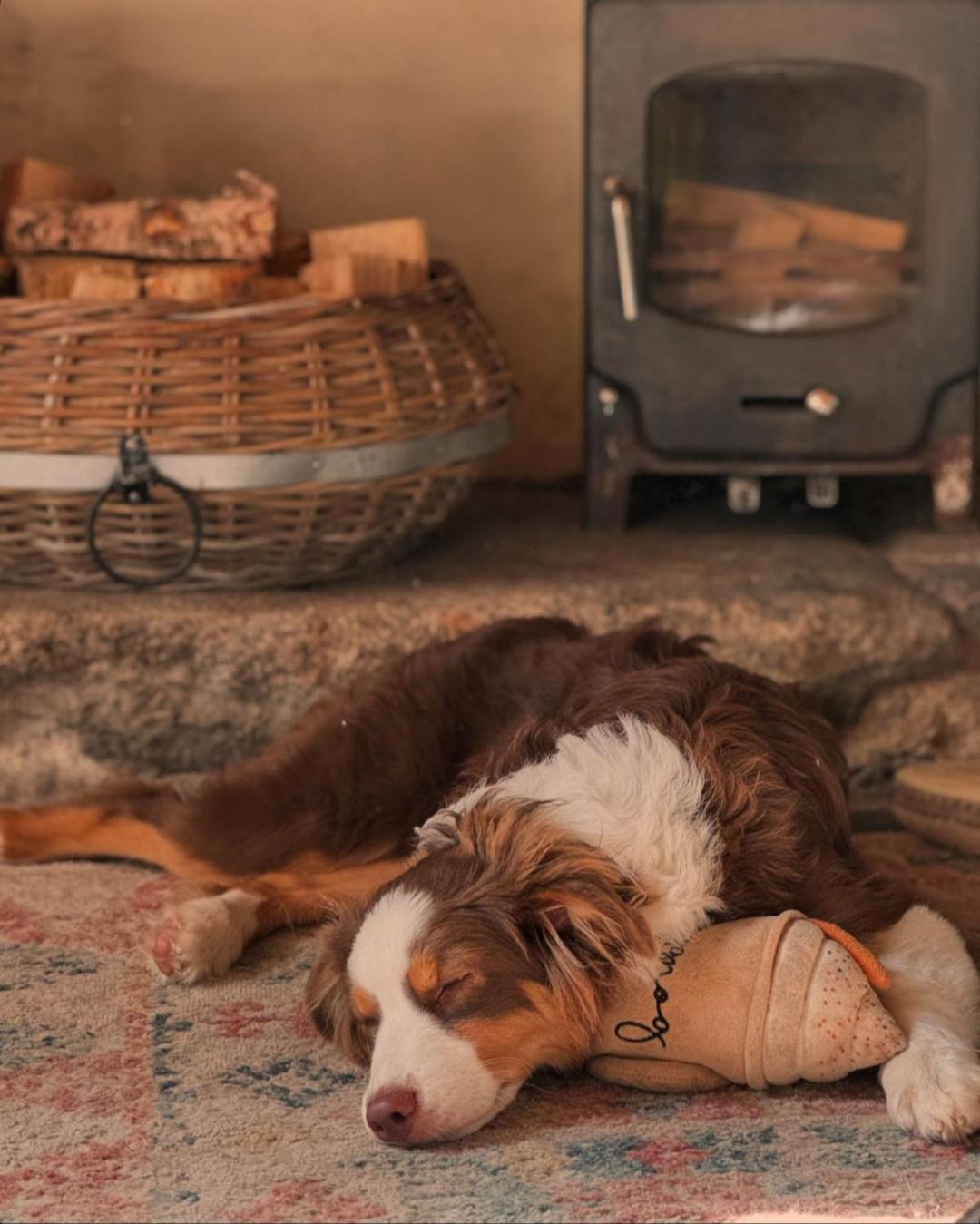 Kitts Cottage, Redruth, Cosy Cornish Retreat Buitenkant foto